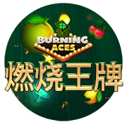 燃燒王牌